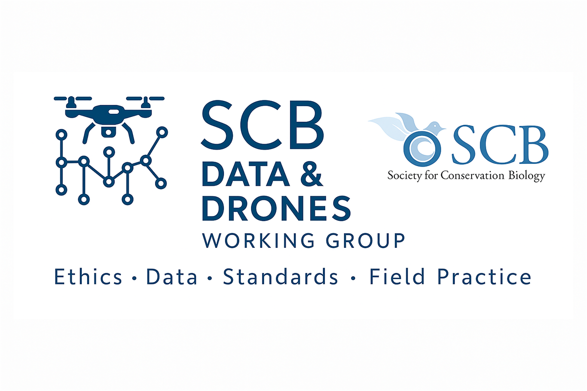 Drones and data as part of the SCB